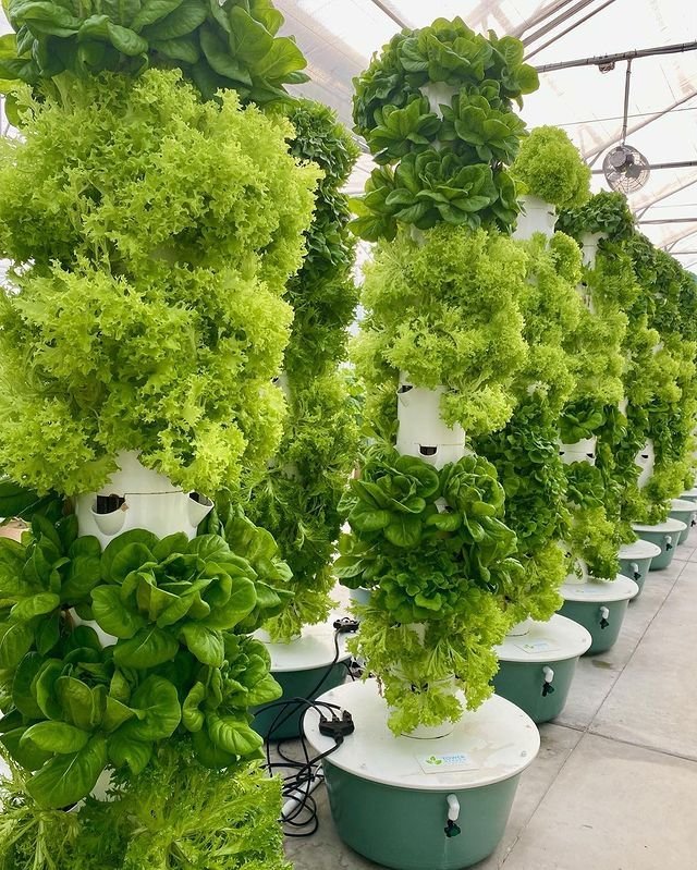 2cc1efc8df14d5b87b411d3ccec6ec14