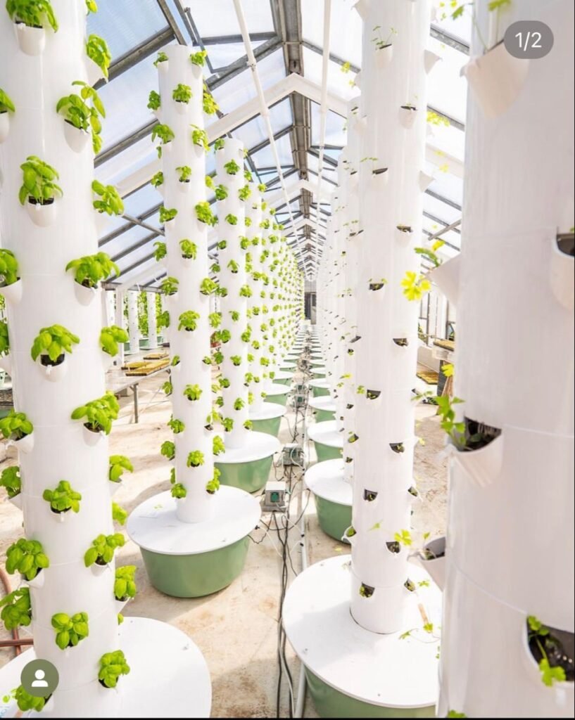 440f08d01674fa85b5504da4c467ca2c