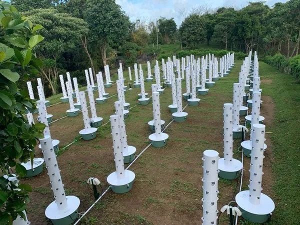 e6d955f3734745f38af459d118d5ae58